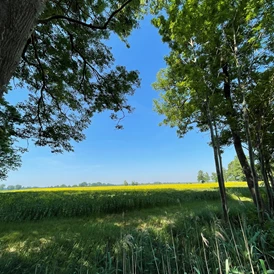 Wohnmobilstellplatz: Aussicht vom Stellplatz - CrohnsHof - Südlage