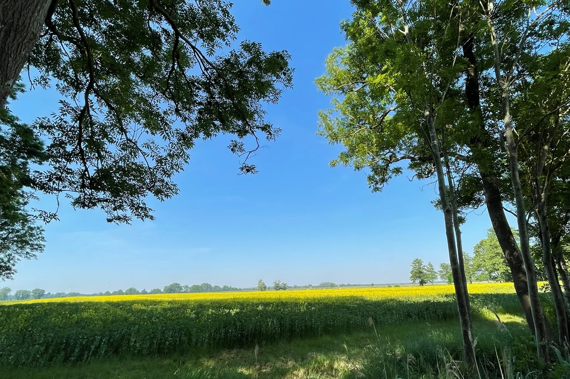 Wohnmobilstellplatz: Aussicht vom Stellplatz - CrohnsHof - Südlage