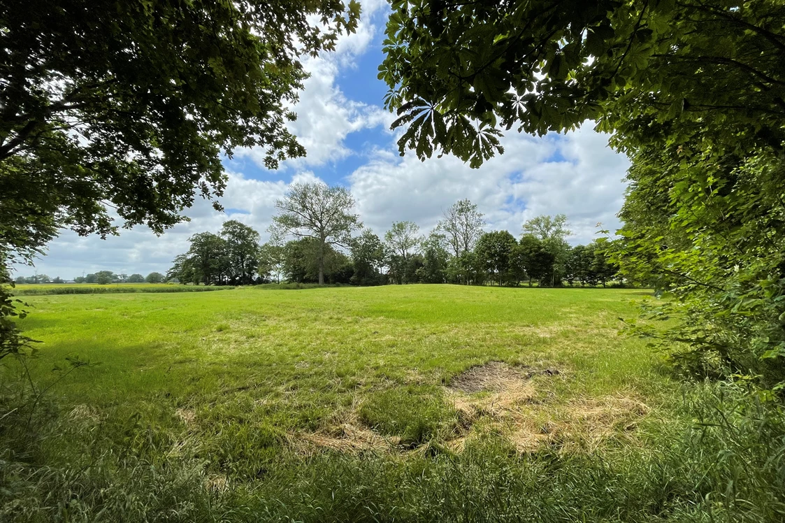 Wohnmobilstellplatz: Stellplatz 1 - CrohnsHof - Südlage