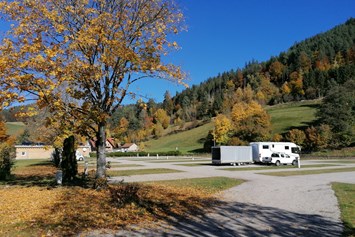 Wohnmobilstellplatz: Wohnmobilstellplatz - Natur-Camp Tannenfels