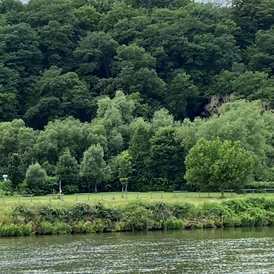 Wohnmobilstellplatz: Blick von gegenüberliegender Mosel-Seite - Senheim Senhals