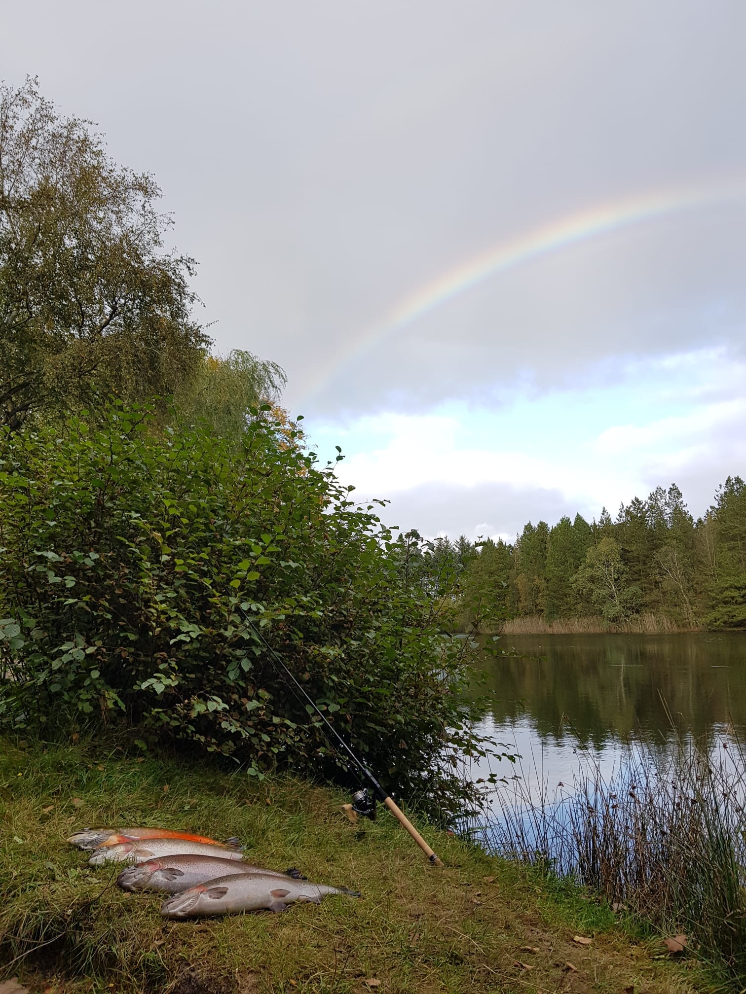 Reisemobilstellplatz: Bjerrely Fiskesø I/S