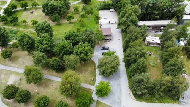 Wohnmobilstellplatz: Stellplatz Areal - Natur-Stellplatz Gampel