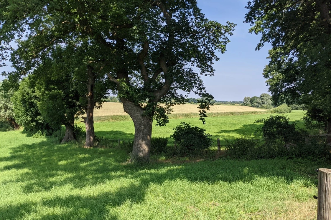 Wohnmobilstellplatz: Aussicht in die Wiesen der Wesermarsch - Hof Vogel direkt am Weserradweg