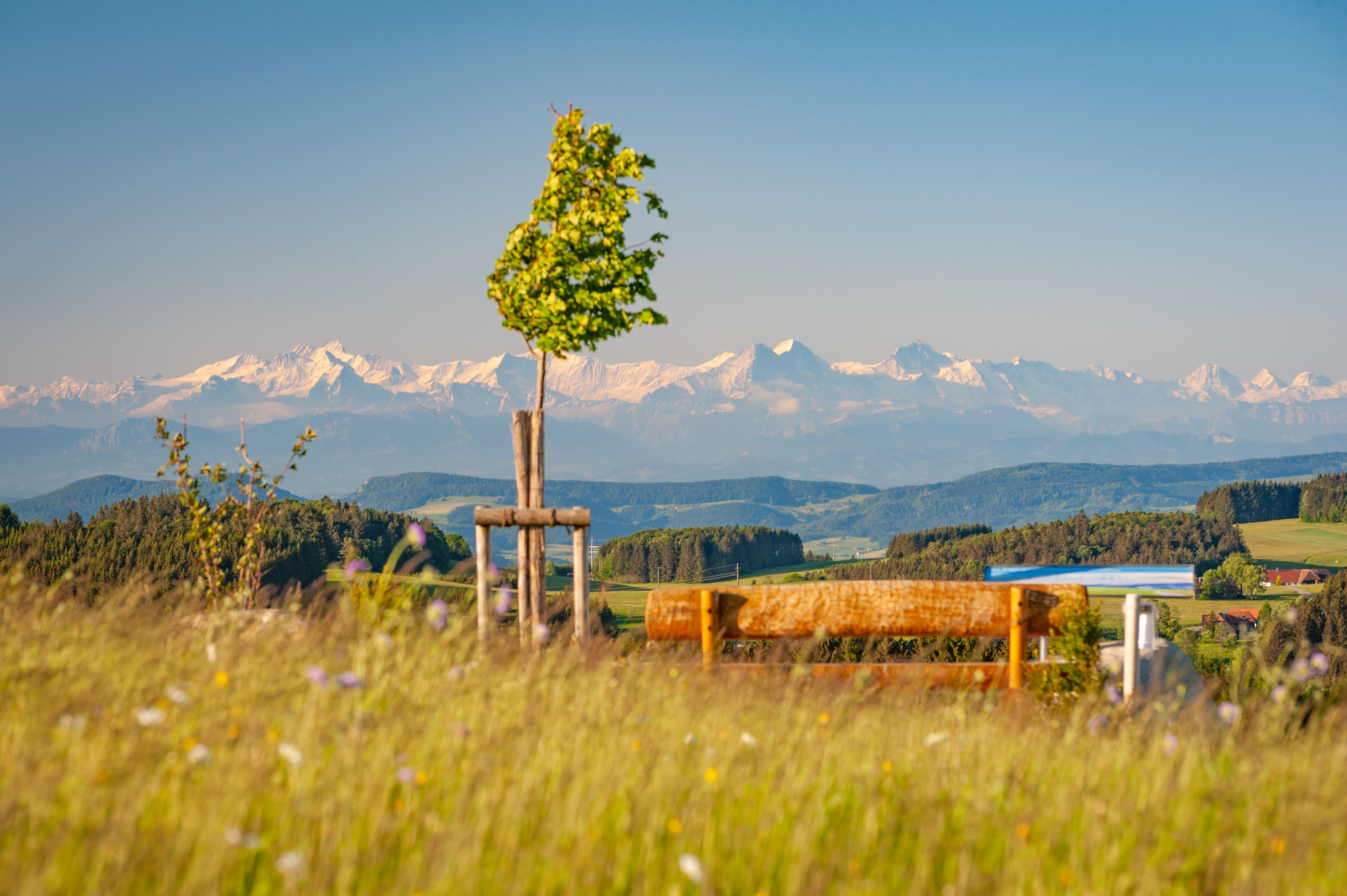 Wohnmobilstellplatz: Aussichtsbankd am Ortsrand - Wohnmobilstellplatz Herrischried