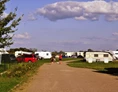 Wohnmobilstellplatz: Camping am Müritzarm - Camping am Müritzarm