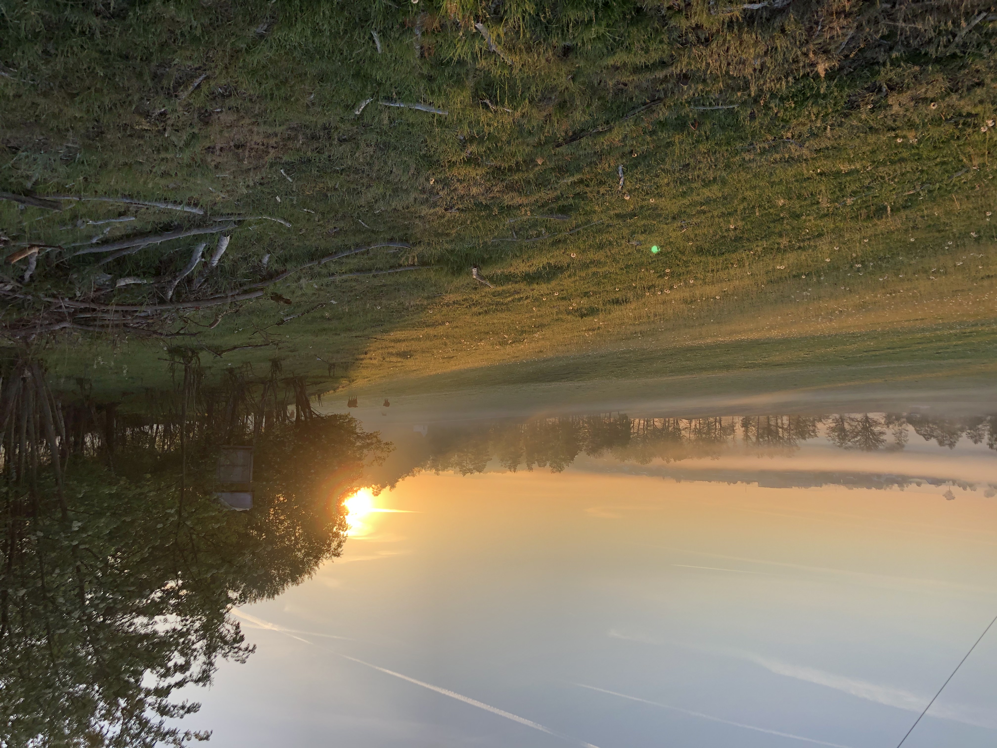 Wohnmobilstellplatz: Hammermühle