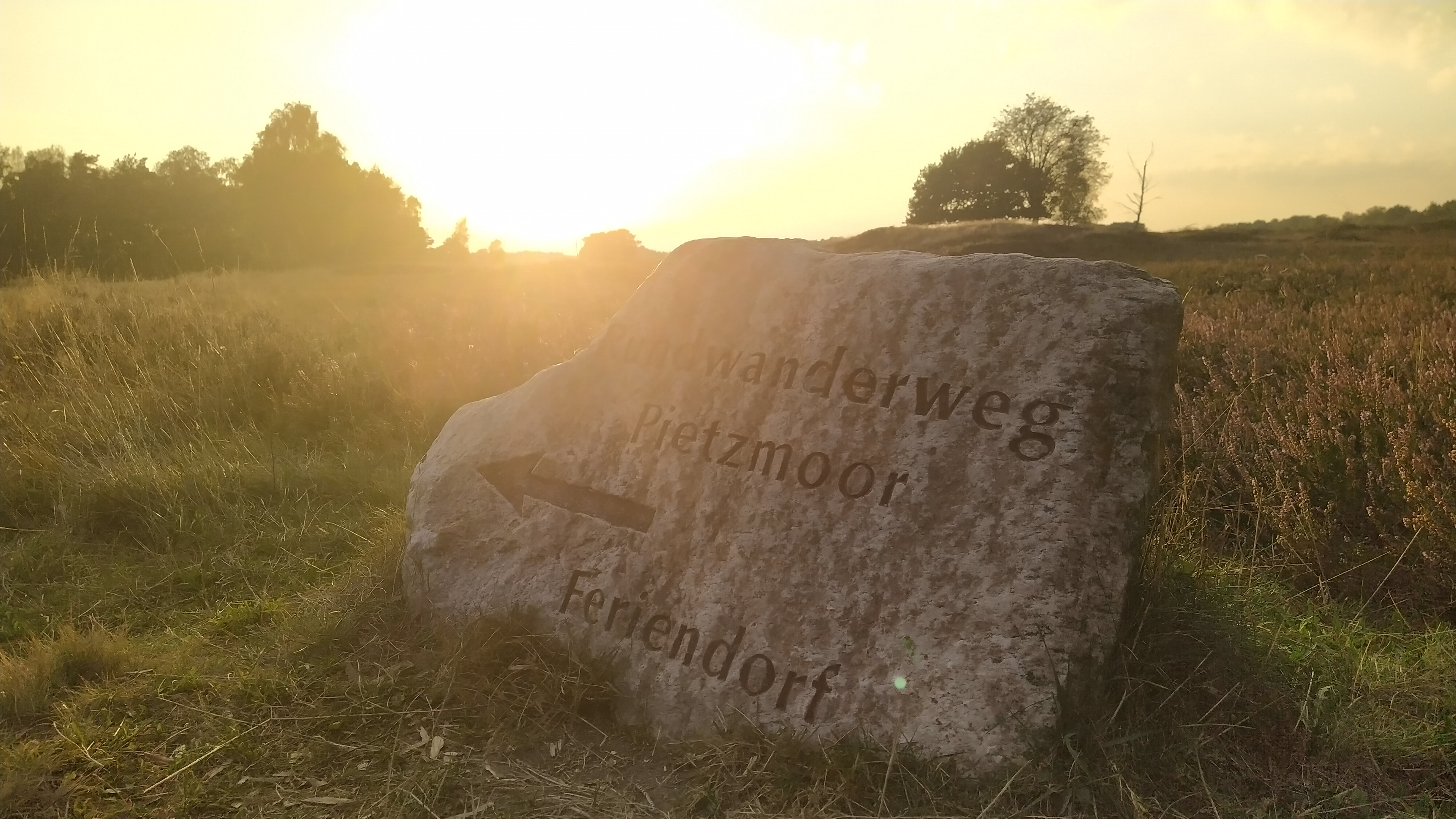 Wohnmobilstellplatz: Pietzmoor  - Wohnmobilstellplatz beim Pietzmoor Schneverdingen in der Lüneburger Heide