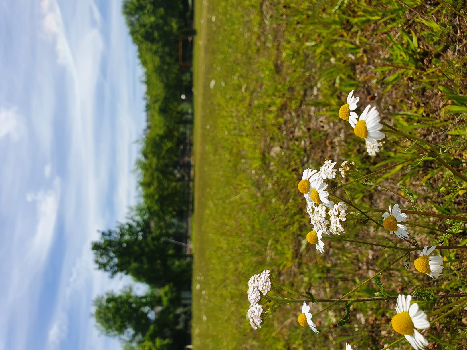 Reisemobilstellplatz - Westerheim (Alb-Donau-Kreis) - Womopark Neckartal