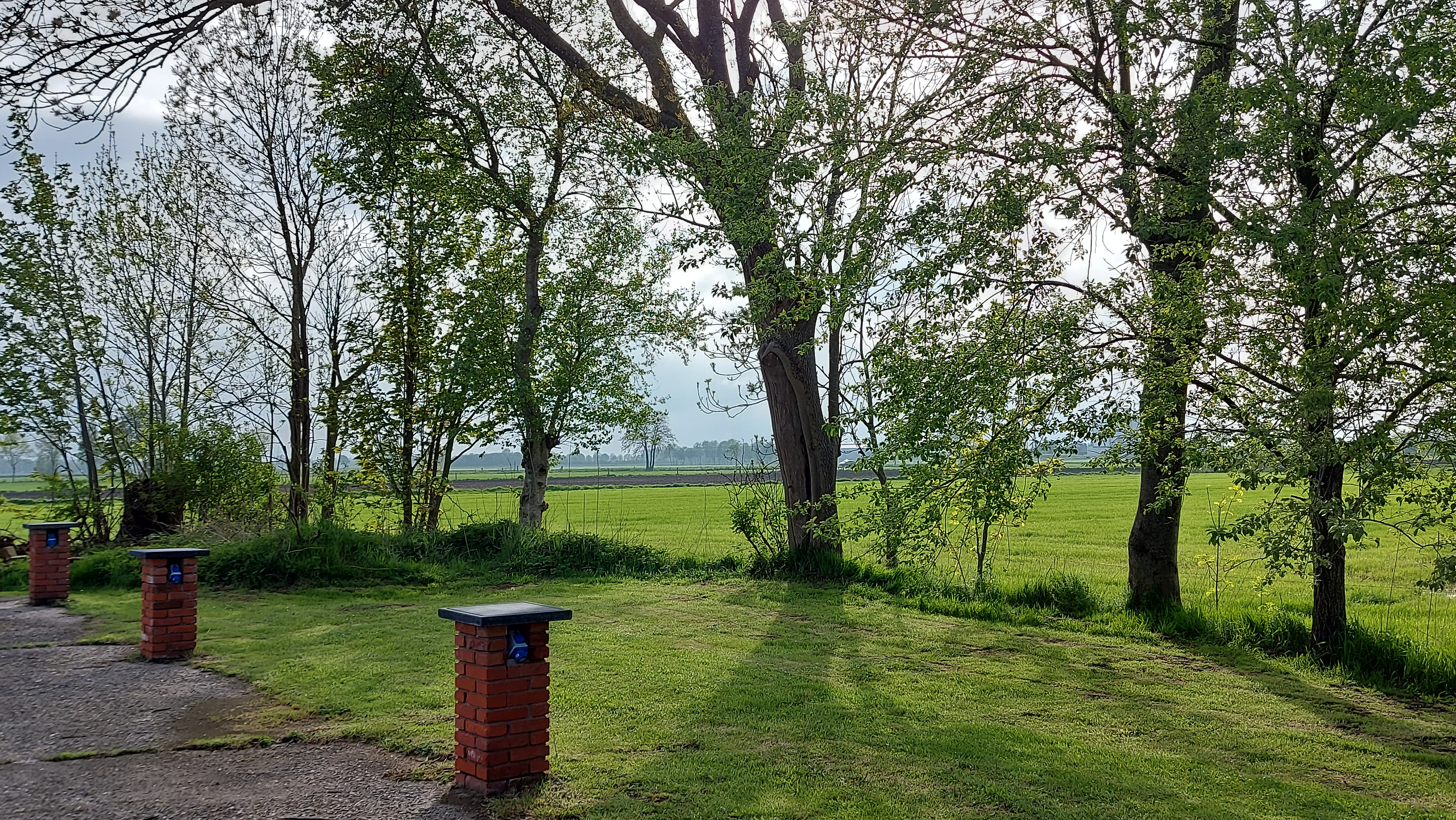 Wohnmobilstellplatz: Stellplatzsicht mit Liegewiese - Alter Bangsteder Hof