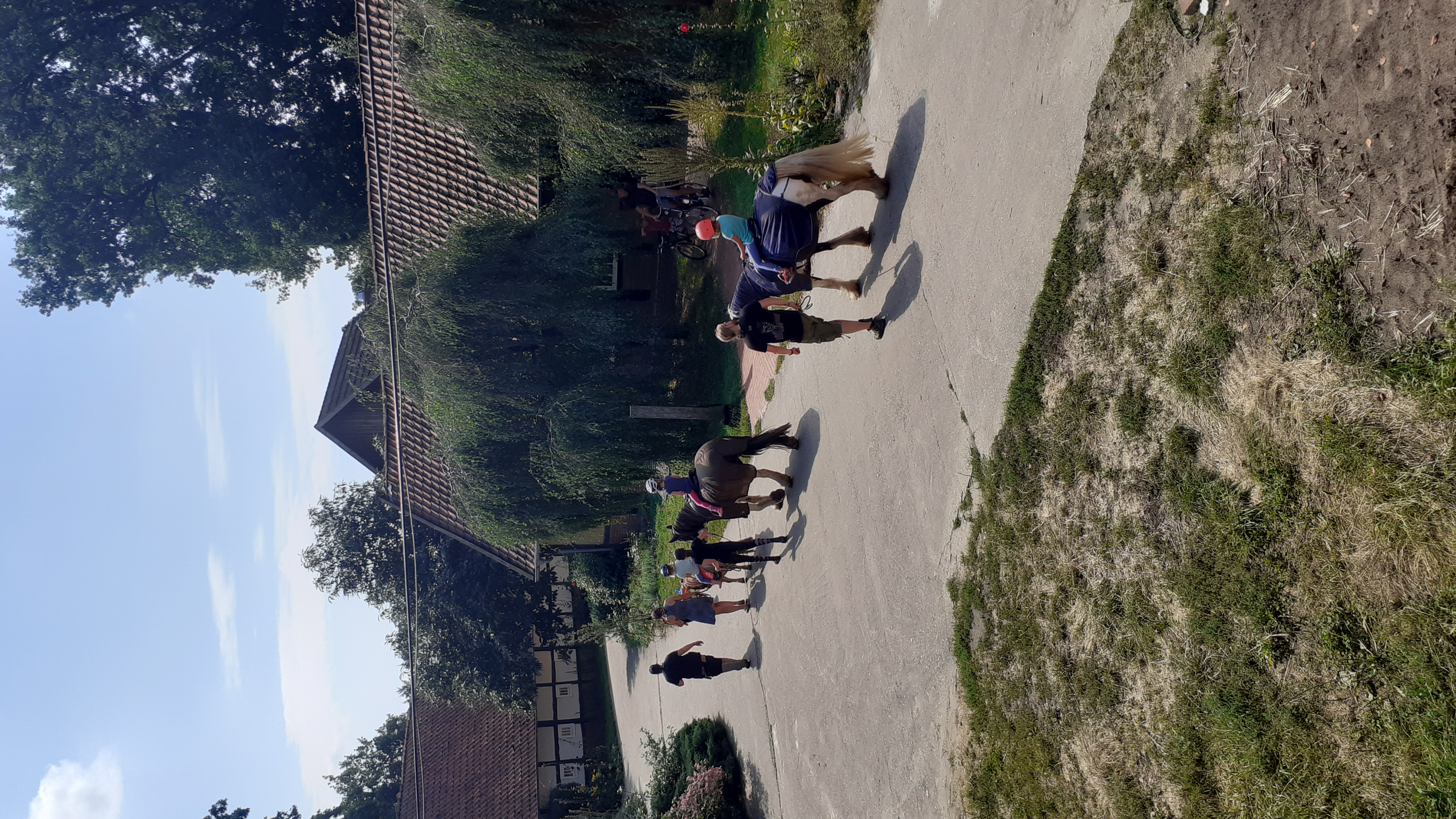 Wohnmobilstellplatz: geführte Ausritte mit den Pferden - Hof am Kolk