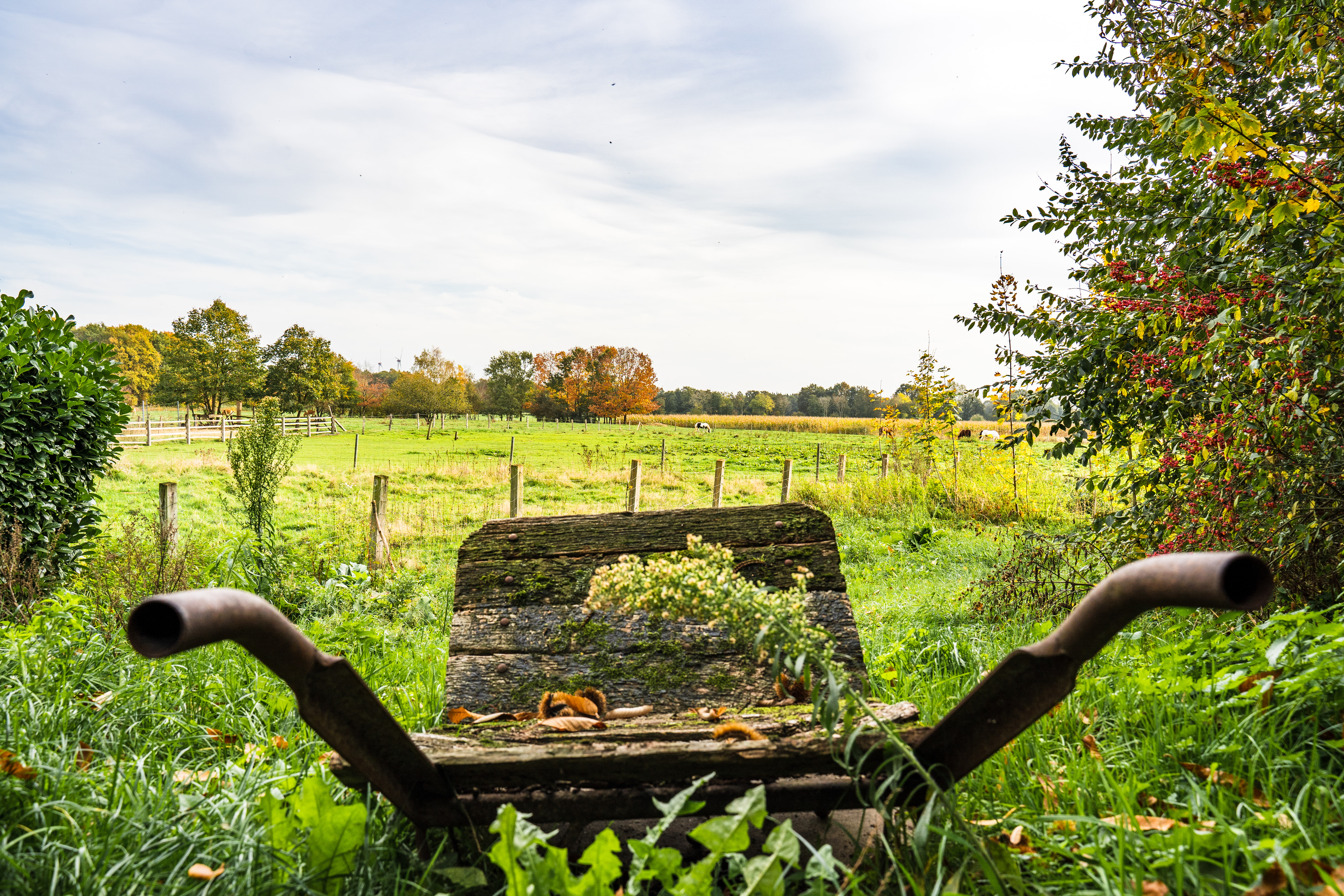 Wohnmobilstellplatz: Blick auf die Weiden im Hasetal - Hof am Kolk