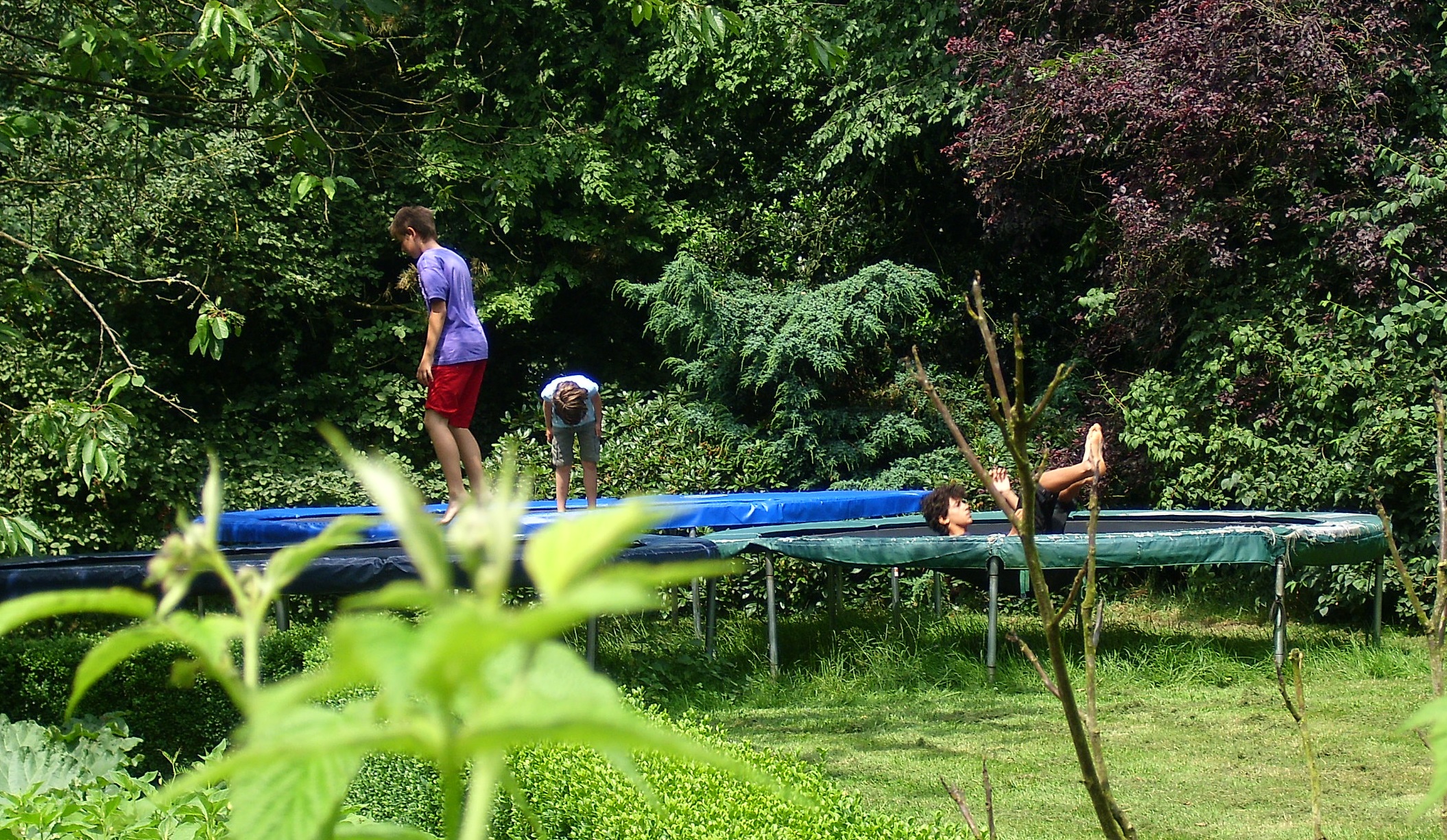 Wohnmobilstellplatz: Trampoline im Garten - Hof am Kolk