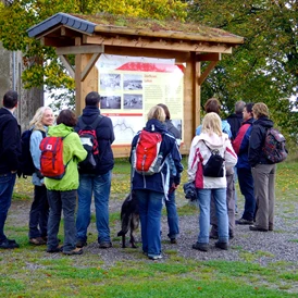 Wohnmobilstellplatz: Nationalpark Eifel - Wohnmobilhafen Heimbach