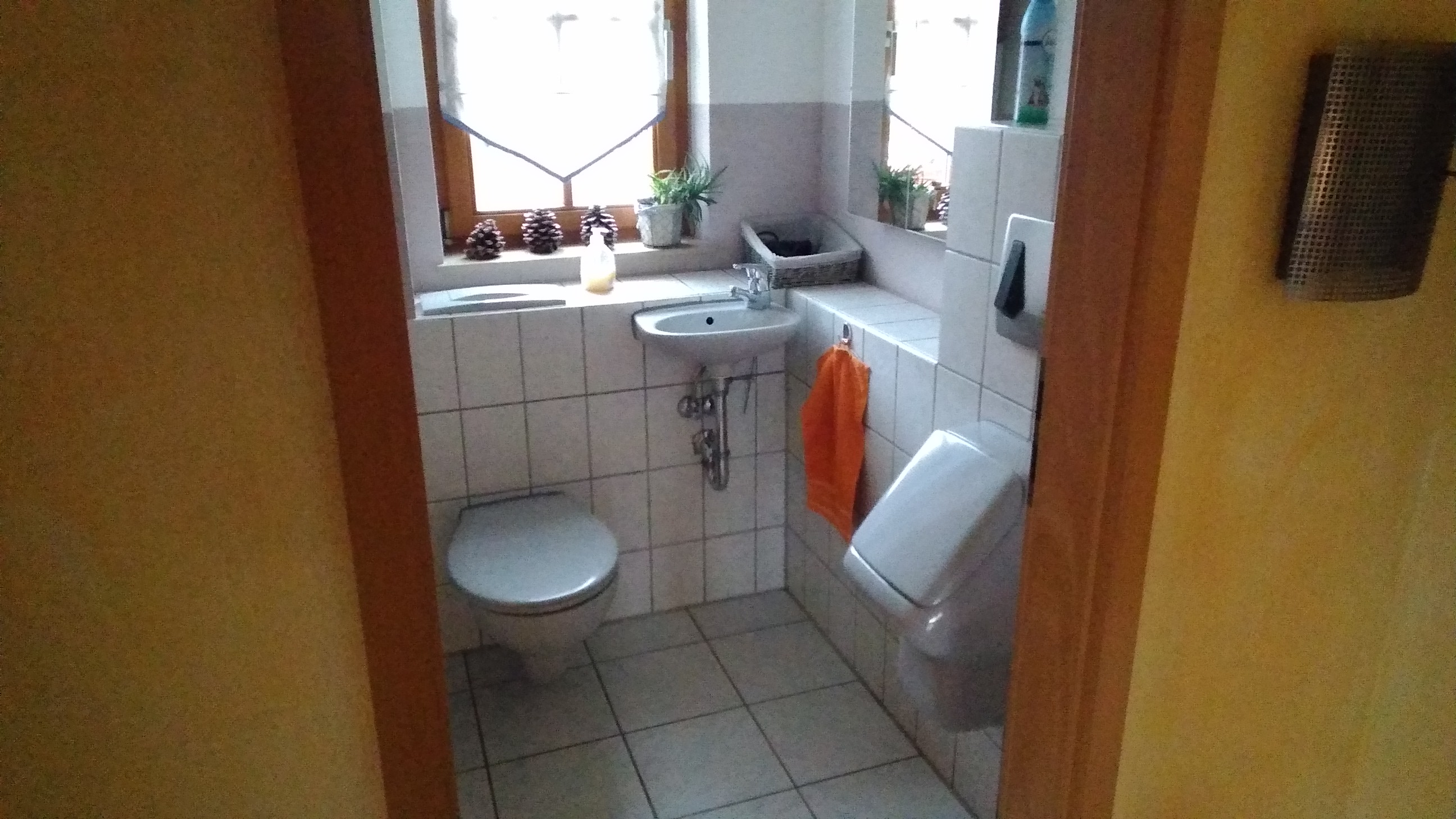 Wohnmobilstellplatz: WC - Camping-Stellplatz "Altjessen 57"