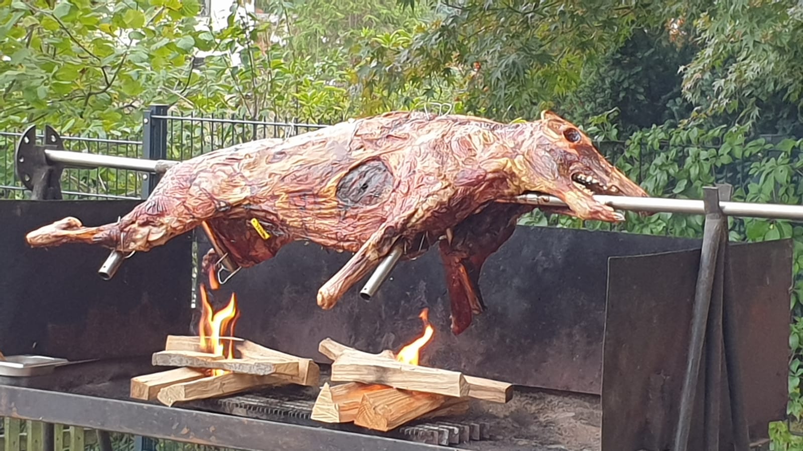 Wohnmobilstellplatz: Camping-Stellplatz "Altjessen 57"