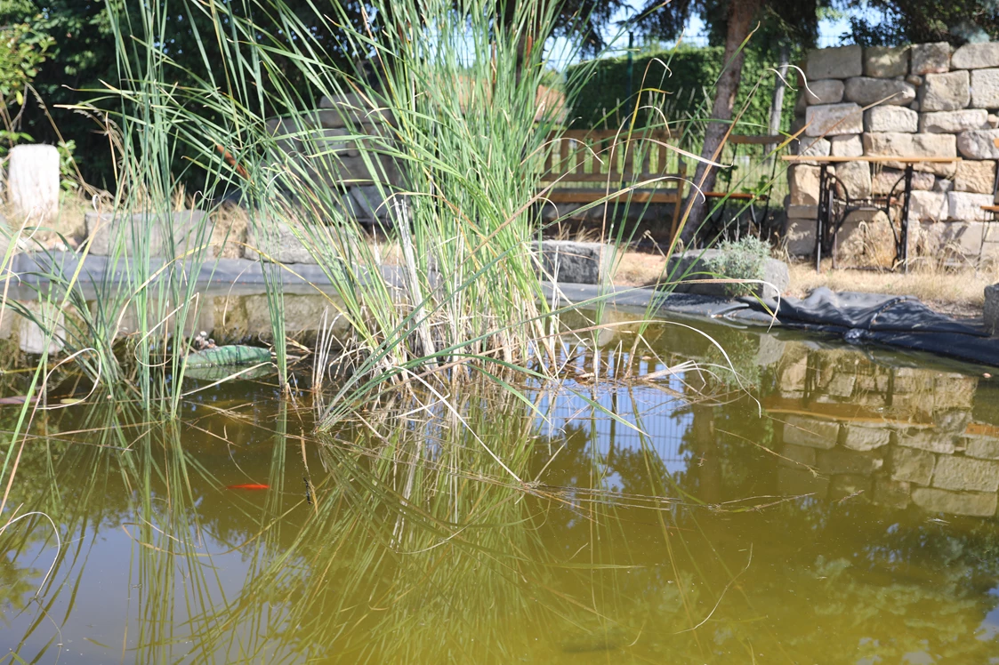 Wohnmobilstellplatz: Erholung am Teich - Campingplatz "Altjessen 57"