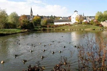 Wohnmobilstellplatz: Wohnmobilstellplatz am Kurpark - Reisemobilhafen am Festplatz Thalfang