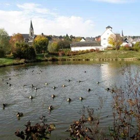 Wohnmobilstellplatz: Wohnmobilstellplatz am Kurpark - Reisemobilhafen am Festplatz Thalfang