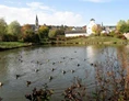 Wohnmobilstellplatz: Wohnmobilstellplatz am Kurpark - Reisemobilhafen am Festplatz Thalfang