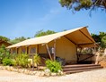 Wohnmobilstellplatz: Unsere Safari Premiumzelte - Oasis Camp
