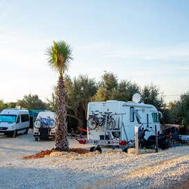 Wohnmobilstellplatz: Ein Teil unseres Campingplatzes  - Oasis Camp