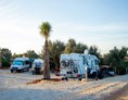 Wohnmobilstellplatz: Ein Teil unseres Campingplatzes  - Oasis Camp