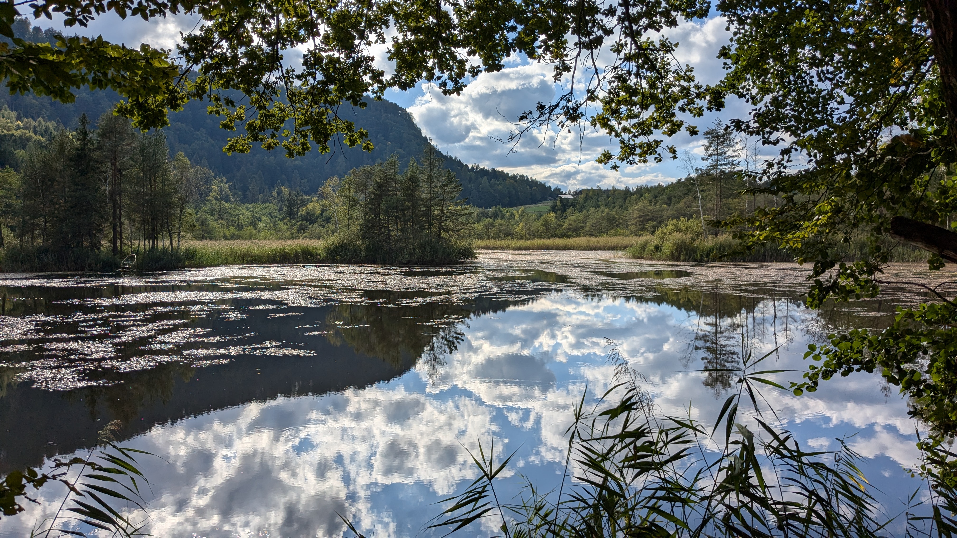 Wohnmobilstellplatz: Wanderung  - Autocamp Tusch - Keutschacher See West