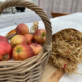 Wohnmobilstellplatz: Der Thurgauer Apfel darf in Mostindien nicht fehlen - Hotel Restaurant Seemöwe 