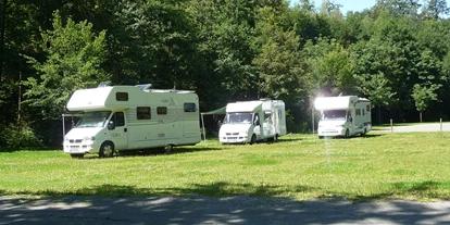 Place de parking pour camping-car - Hunde erlaubt: Hunde erlaubt - Münchberg - Stellplatz im Schorgasttal - Festplatz im Schorgasttal