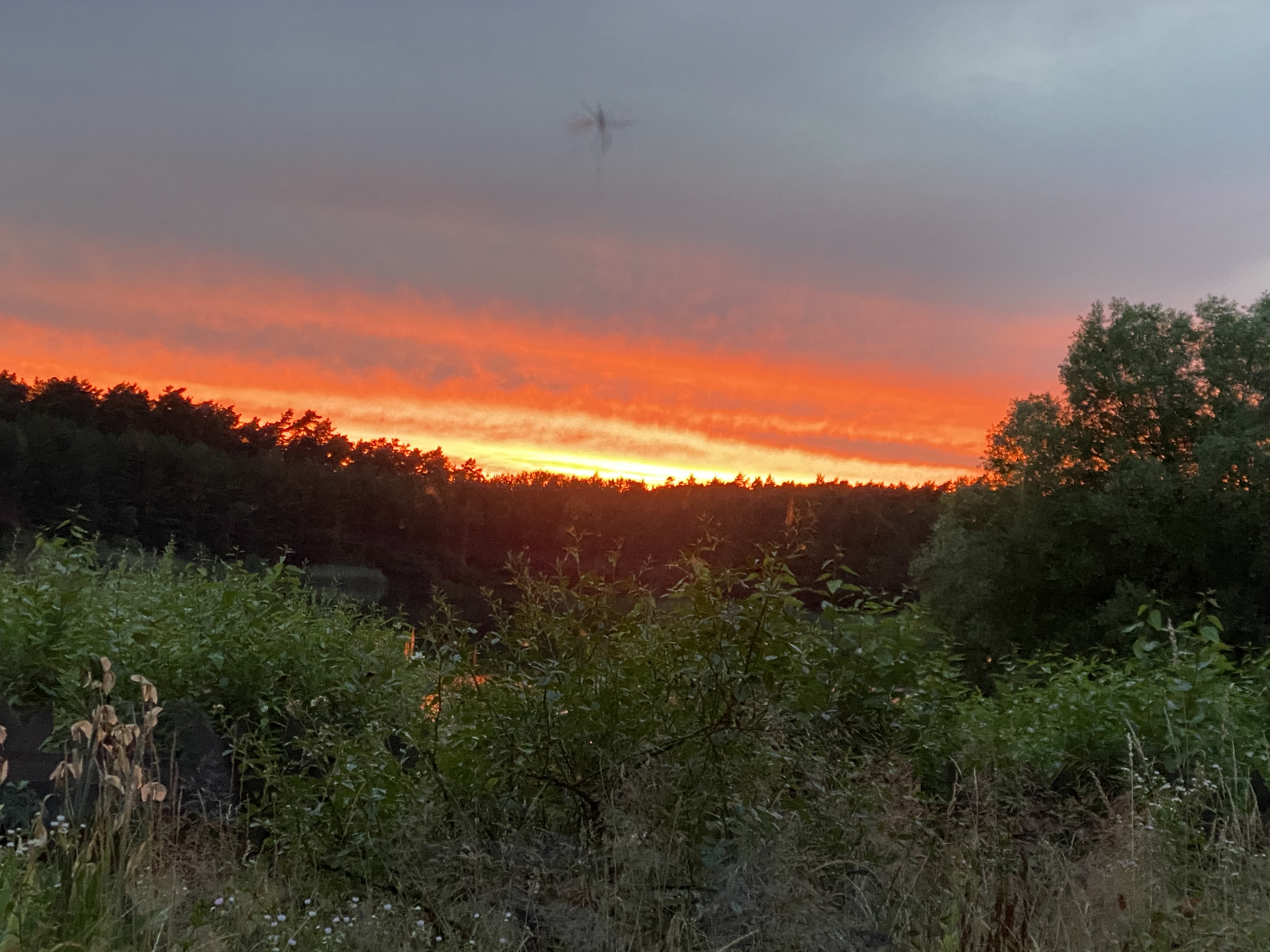 Wohnmobilstellplatz: Campingplatz Silbersee Dreenkrögen Badesee
