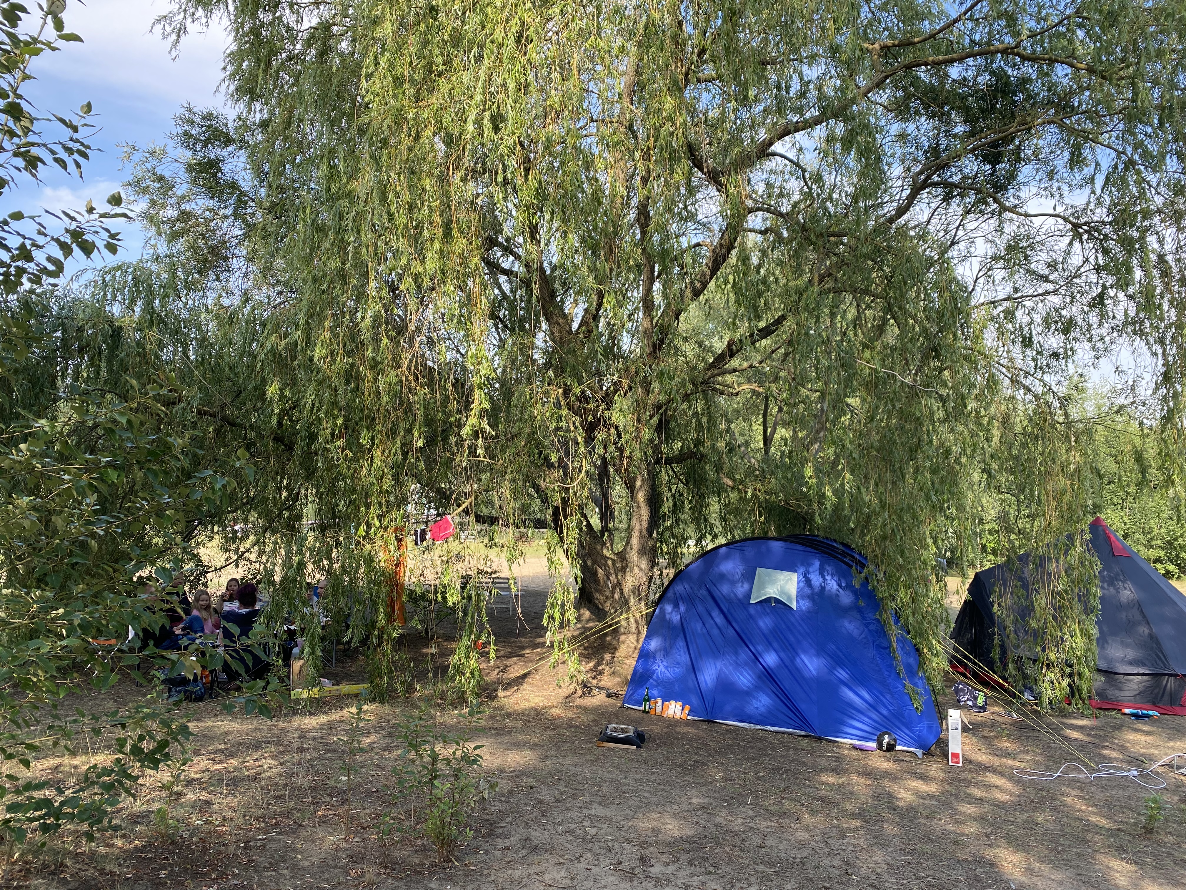 Wohnmobilstellplatz: Zeltareal - Campingplatz Silbersee Dreenkrögen Badesee