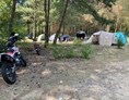 Wohnmobilstellplatz: Campingplatz Silbersee Dreenkrögen Badesee, winterbetrieb