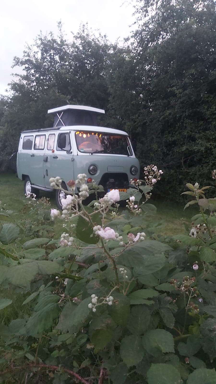 Wohnmobilstellplatz: Eine Spezialcamper, ein Buchana aus Russland auf Dalercamping - Daler Camping