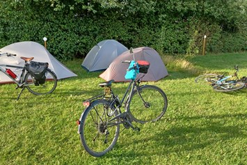 Wohnmobilstellplatz: Daler Camping