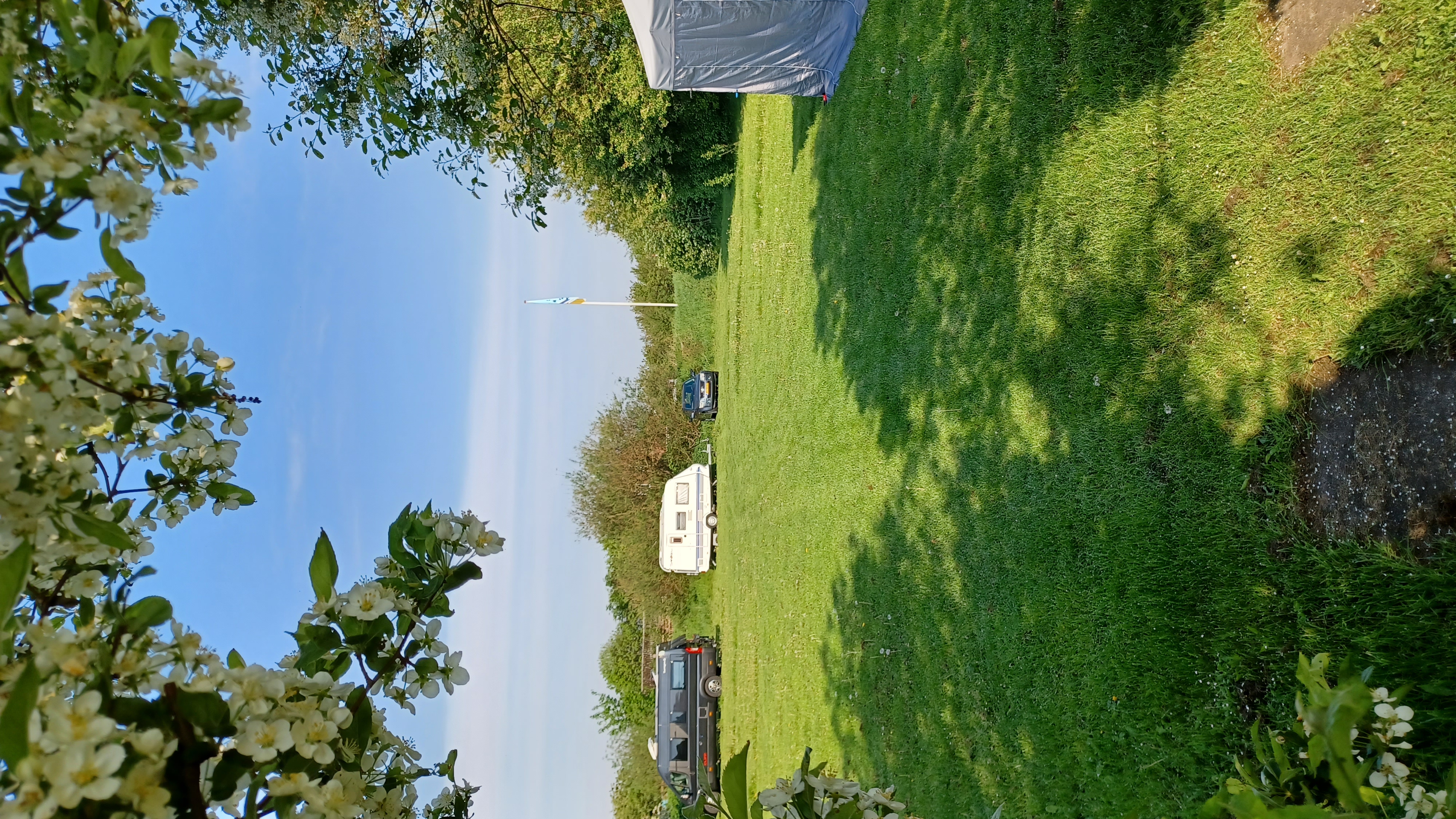 Wohnmobilstellplatz: Dass große Field - Daler Camping