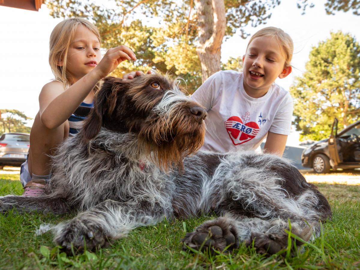 Wohnmobilstellplatz: DCU-Camping Rønne Strand - Galløkken