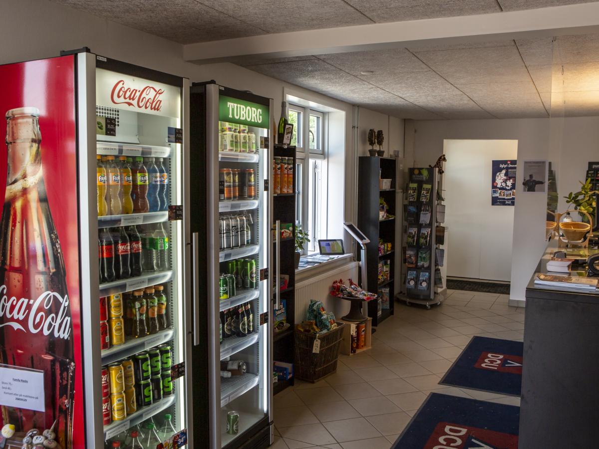 Wohnmobilstellplatz: DCU-Camping Odense