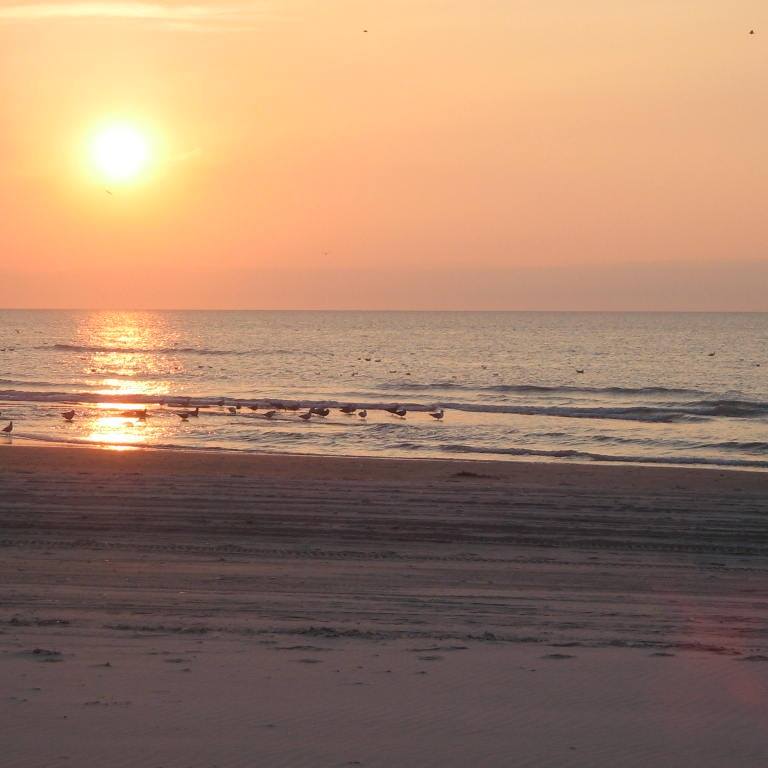 Reisemobilstellplatz - Windsurfen - Dänemark - Løkken maritime naturcamping Vestkystcamping