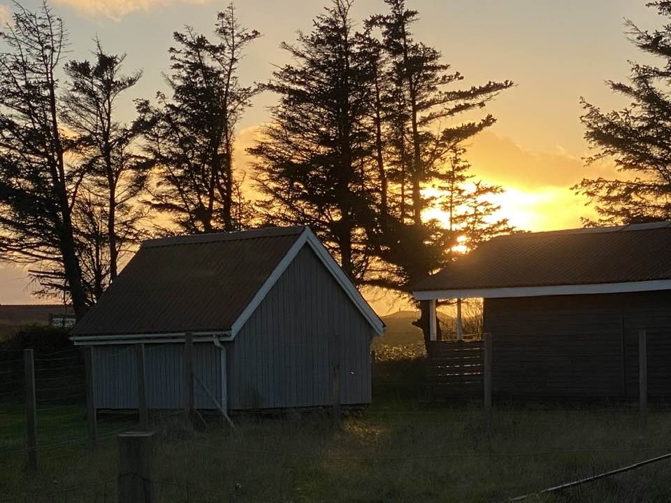 Reisemobilstellplatz - Windsurfen - Dänemark - Løkken maritime naturcamping Vestkystcamping