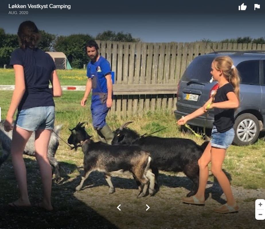 Reisemobilstellplatz - Windsurfen - Dänemark - Løkken maritime naturcamping Vestkystcamping