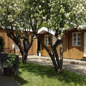 Wohnmobilstellplatz: Guldborg Camping & Hytter
