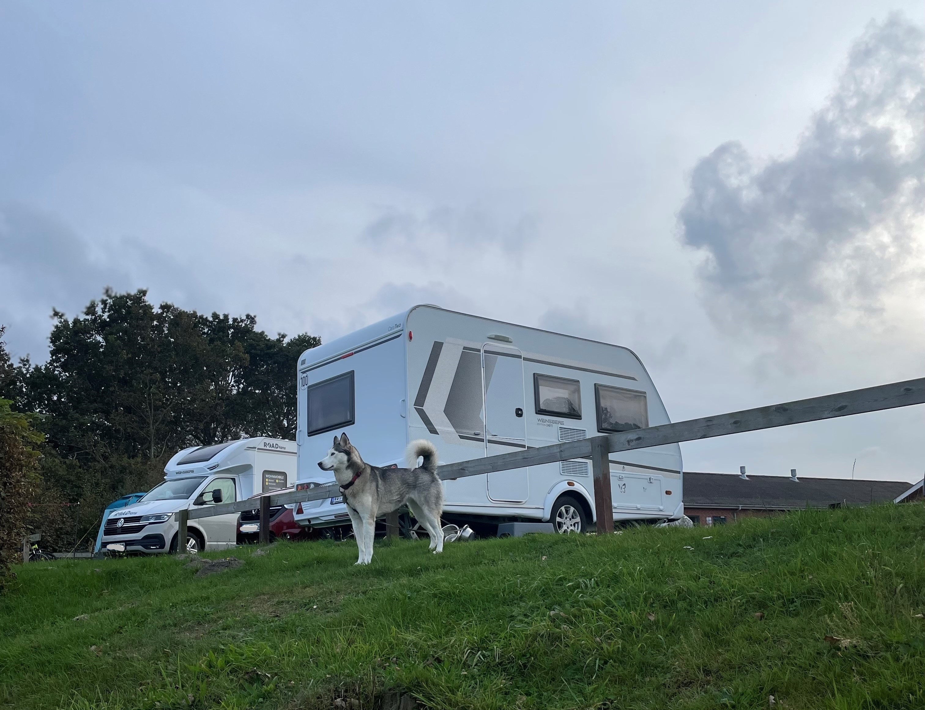 Reisemobilstellplatz - Nordjütland - Svalereden Strand Camping