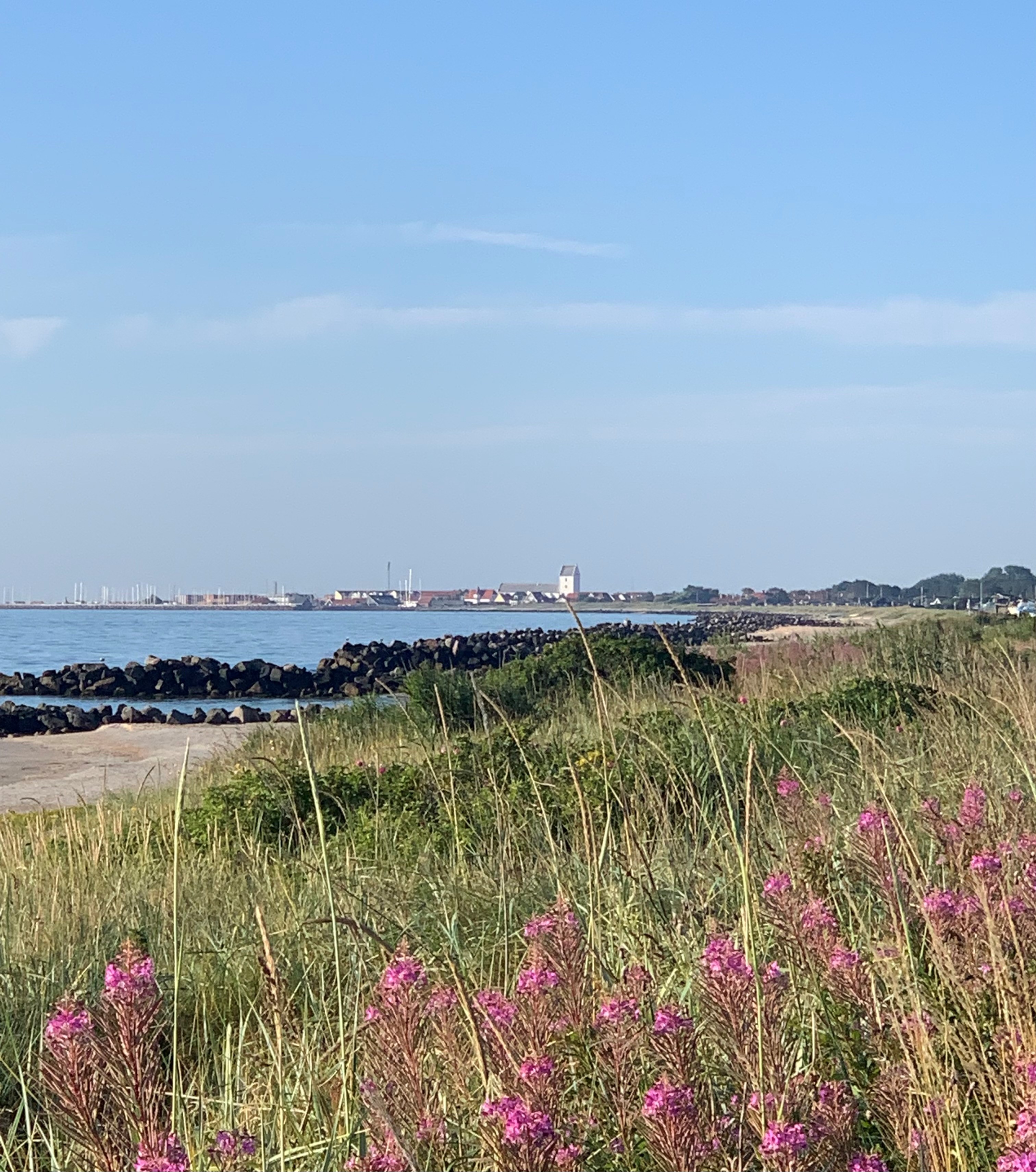 Wohnmobilstellplatz: Svalereden Strand Camping