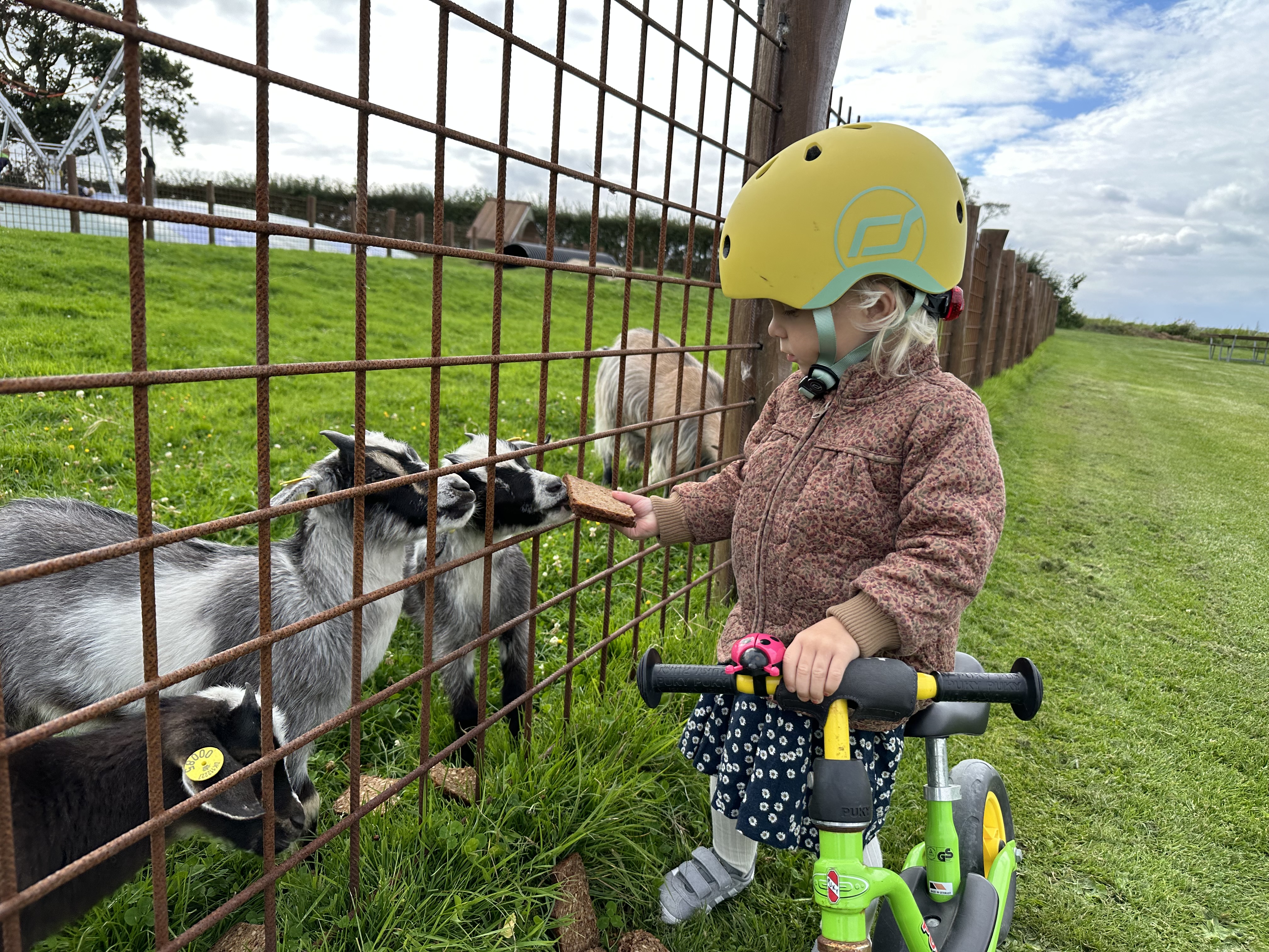 RV park - Fredericia - Sandager Næs Camping