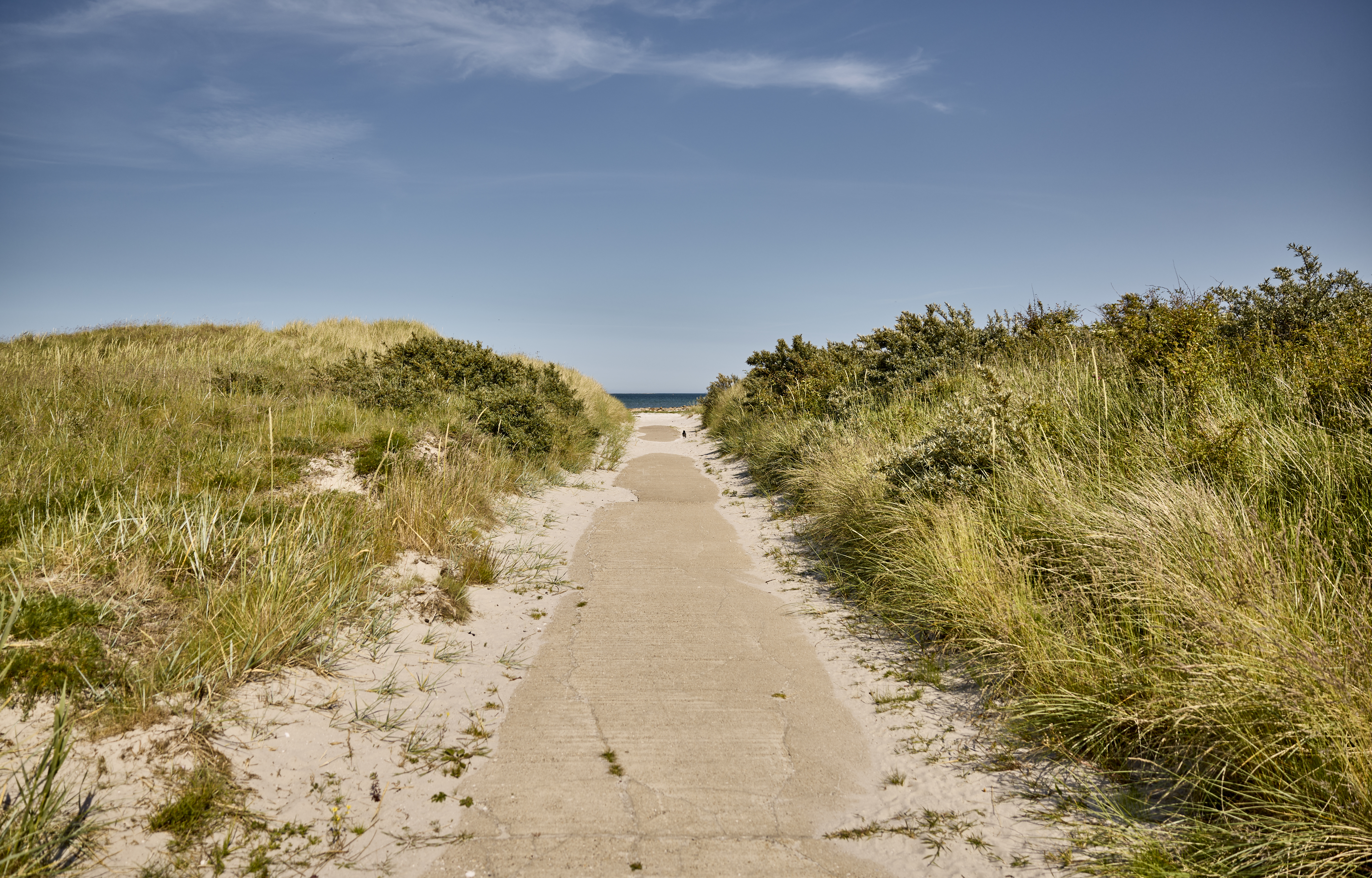 Wohnmobilstellplatz: Nordstrand Camping