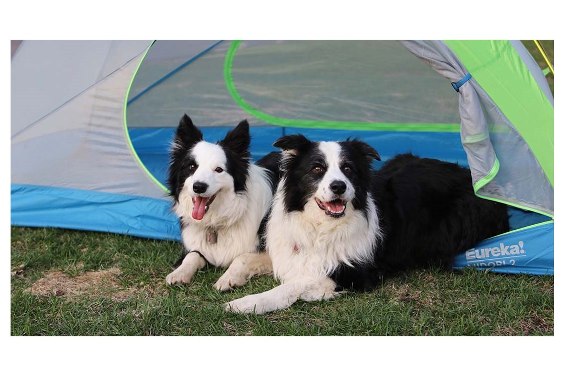 Wohnmobilstellplatz: Hund ist erlaubt - Gåsevig Strand Camping