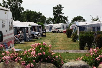 Wohnmobilstellplatz: Campsite - Hasle Camping