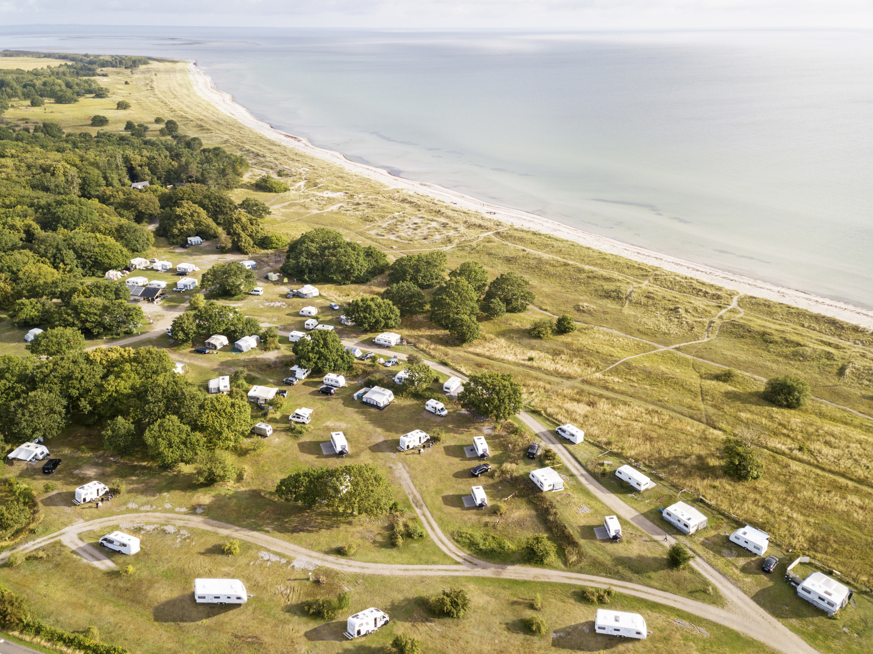 Reisemobilstellplatz - Windsurfen - Dänemark - Møn Strandcamping - Ulvshale