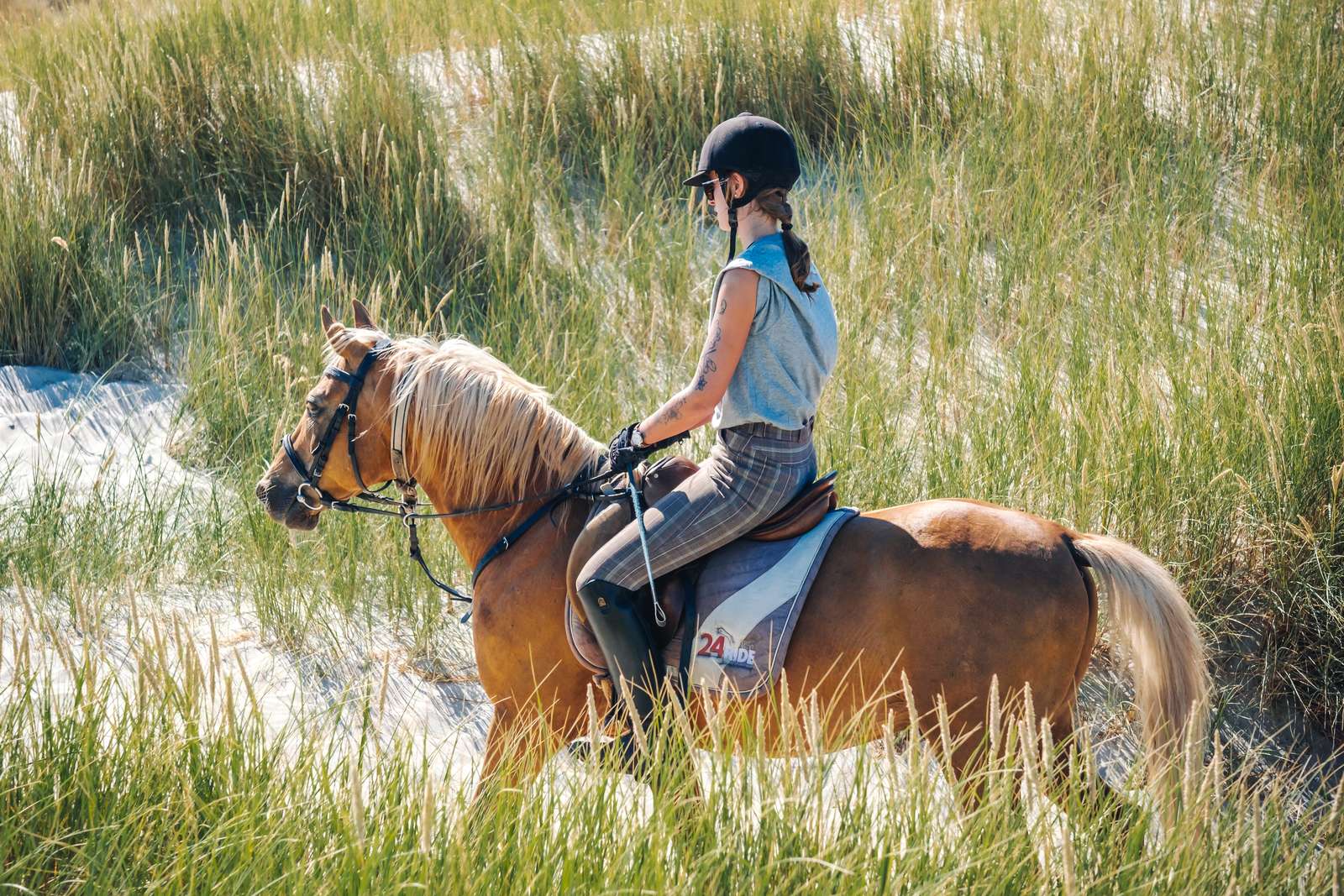 Reisemobilstellplatz: Vedersø Strand Camping